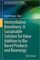 کتاب Hemicellulose Biorefinery: A Sustainable Solution for Value Addition to Bio-Based Products and Bioenergy (Clean Energy Production Technologies)